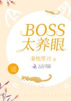 BOSS̫